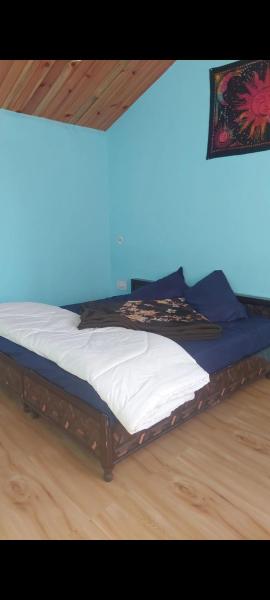 Area 51 cafe and farmstay kasol
